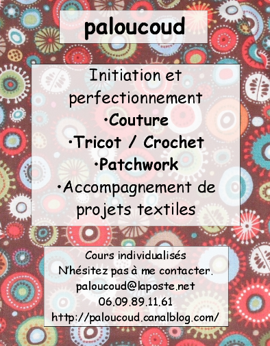 paloucoud logo logo paloucoud
